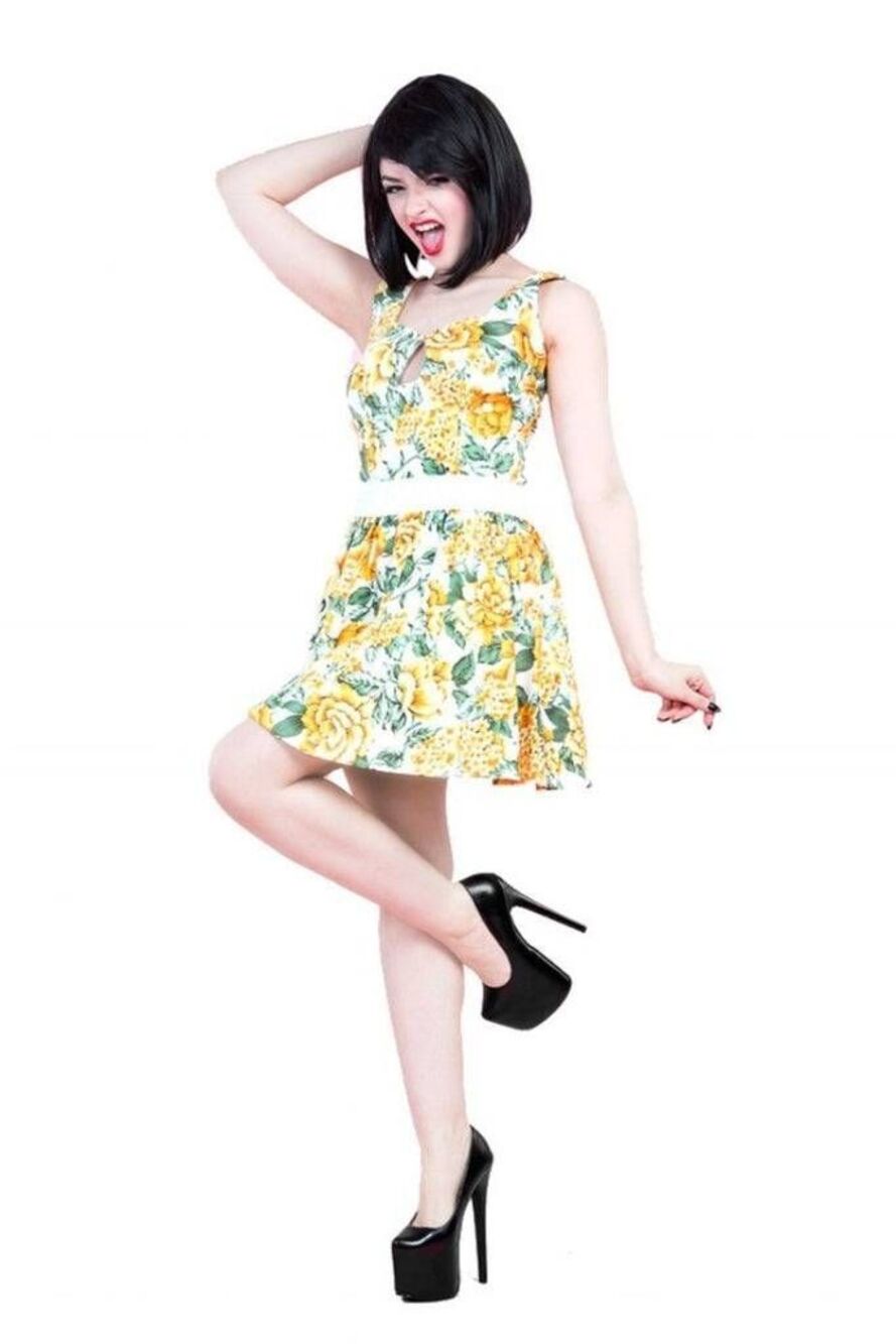 Hearts & Roses Carnation Floral Mini Fit and Flare Dress 6 NWT Boho Summer Brigh